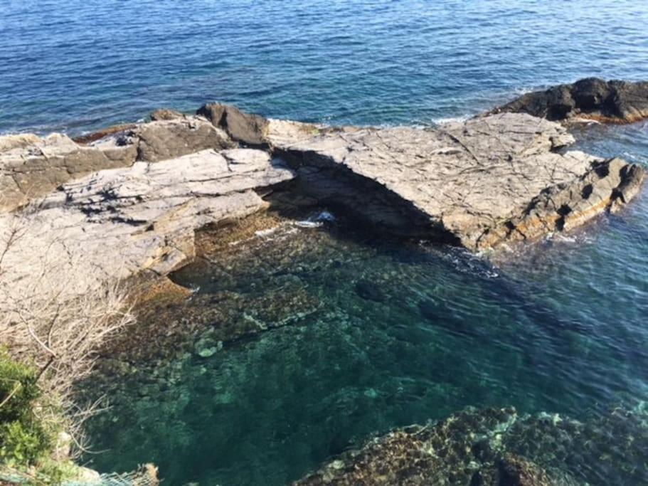 New Suite Sul Mare N. 2 Recco Buitenkant foto